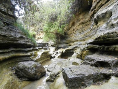 Gorge