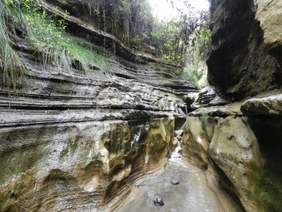 Gorge