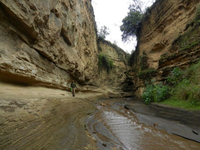 Gorge