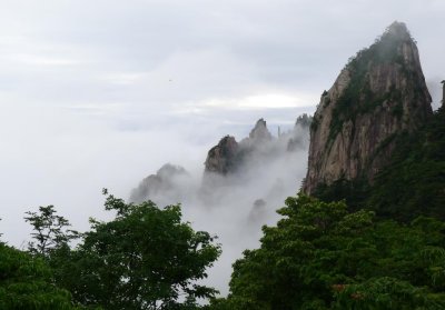 Mount Huangshan - Summer 夏日黃山