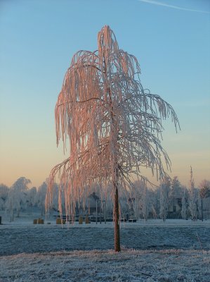 HPIM4673.JPG