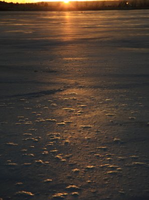 Sunrise and geese IMG_6767.JPG