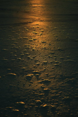 Sunlight and Ice IMG_6776.JPG