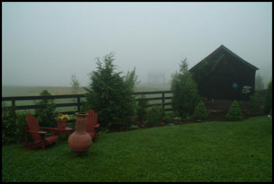 Side yard