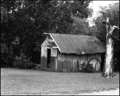 Barn, Homeland Florida