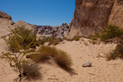 White Domes Trailhead