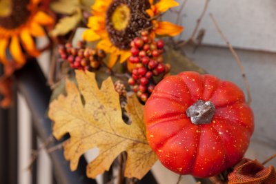 Fall Colors