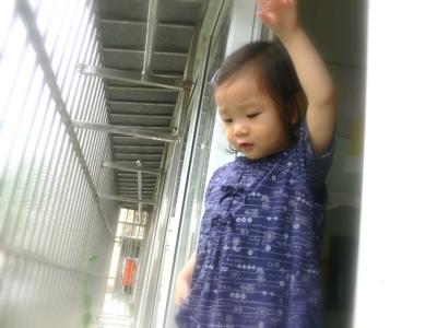 P1000591.JPG