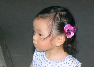 P1000725.JPG