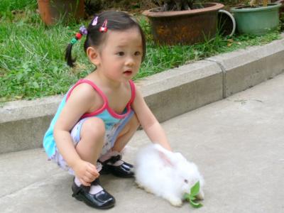 P1000888.JPG