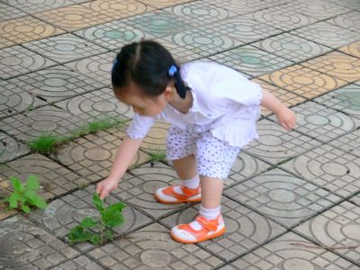 P1010075.JPG