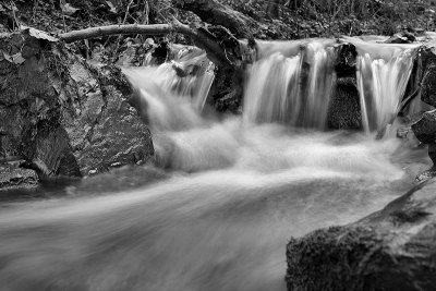 Dartmoor stream. January2012