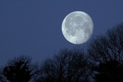 Moon, from the front door