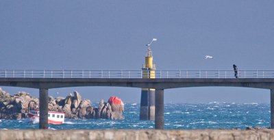 Roscoff -running for the ferry 1