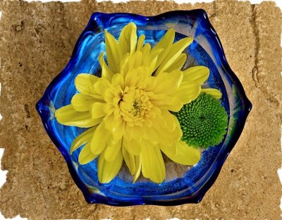 Bowl of Chrysanthemums