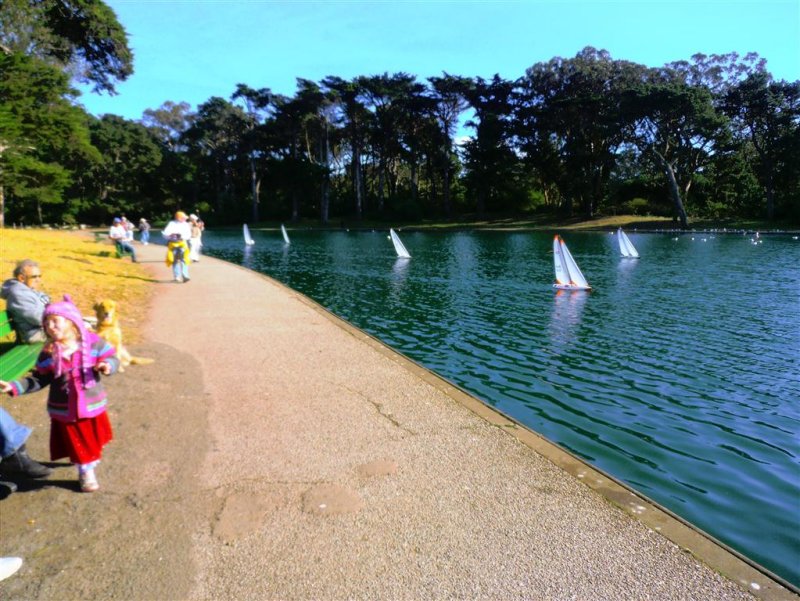 Boats at Spreckel Lake