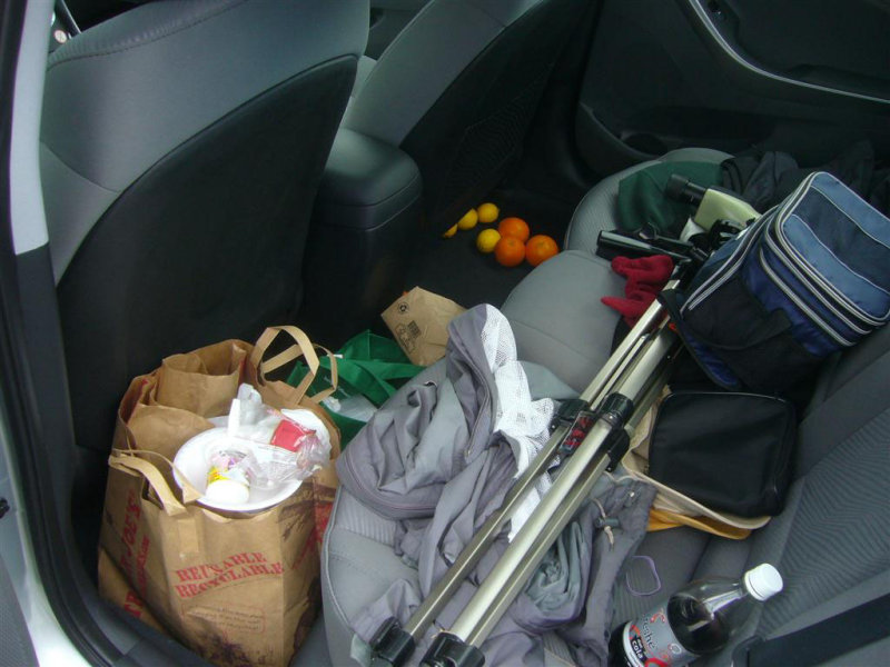 The Back Seat of our Elantra