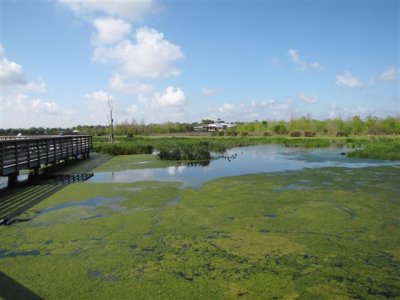 Green Cay