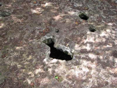 Respiration Holes on Trail at Shark Valley