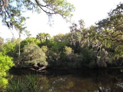 Myakka River