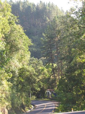 Tapir Canyon