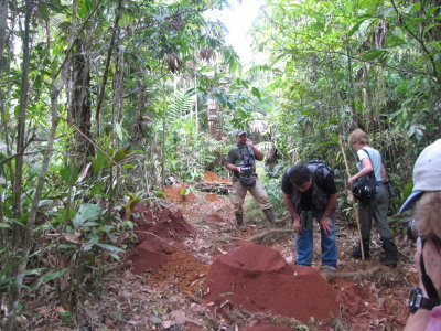 Checking Out Ant Trash Heap