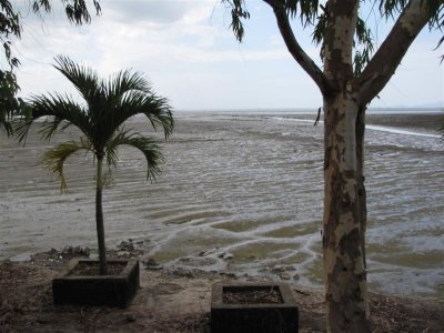 Panama City Mudflats