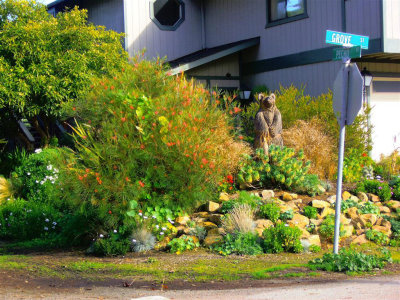 Landscaping at Los Osos