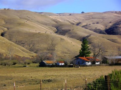 Farm