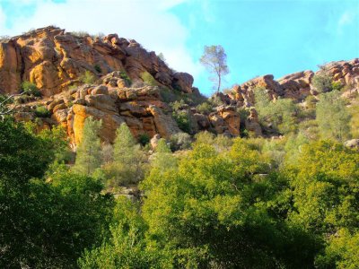Pinnacles scenery