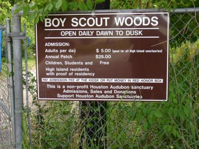 Boy Scout Woods