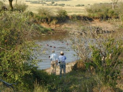 At the Hippo Pool