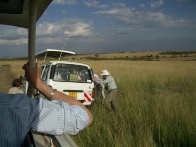 Derailed by Birders