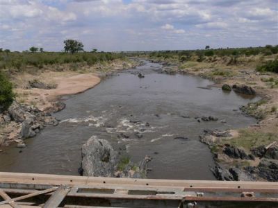 Wildebeest Crossing Place on Mara River