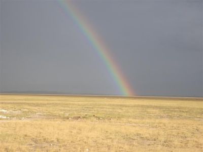 Rainbow at Amboseli
