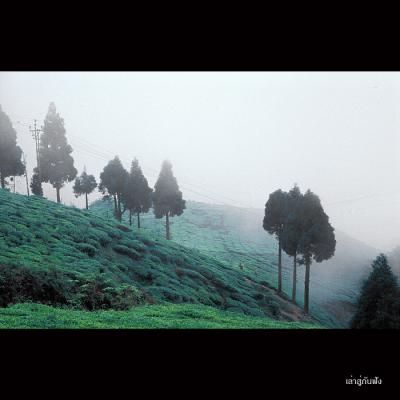 Darjeeling049.jpg