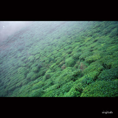 Darjeeling067.jpg