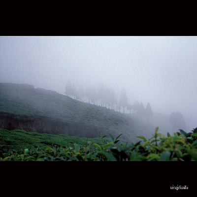 Darjeeling069.jpg