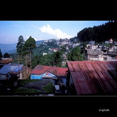 g4/71/56471/3/61350258.Darjeeling085.jpg