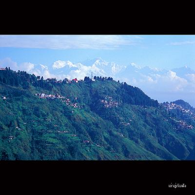 Darjeeling103.jpg