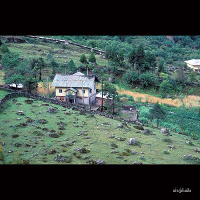 Lachung003 copy.jpg