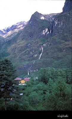 Lachung017 copy.jpg