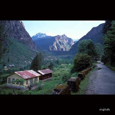 Lachung022 copy.jpg