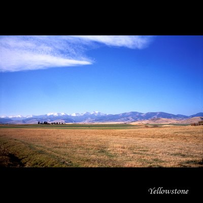 Yellowstone002 copy.jpg