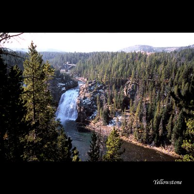 Yellowstone016 copy.jpg