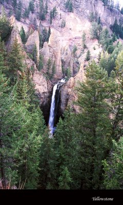 Yellowstone020 copy.jpg