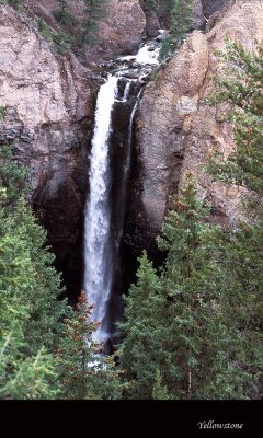 Yellowstone033 copy.jpg