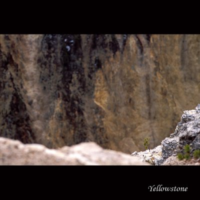 Yellowstone035 copy.jpg