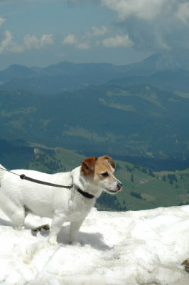 Brienzer Rothorn