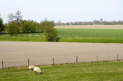 view on the next village (Zeewolde)